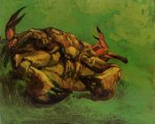 文森特 威廉 梵高 : 倒置的螃蟹